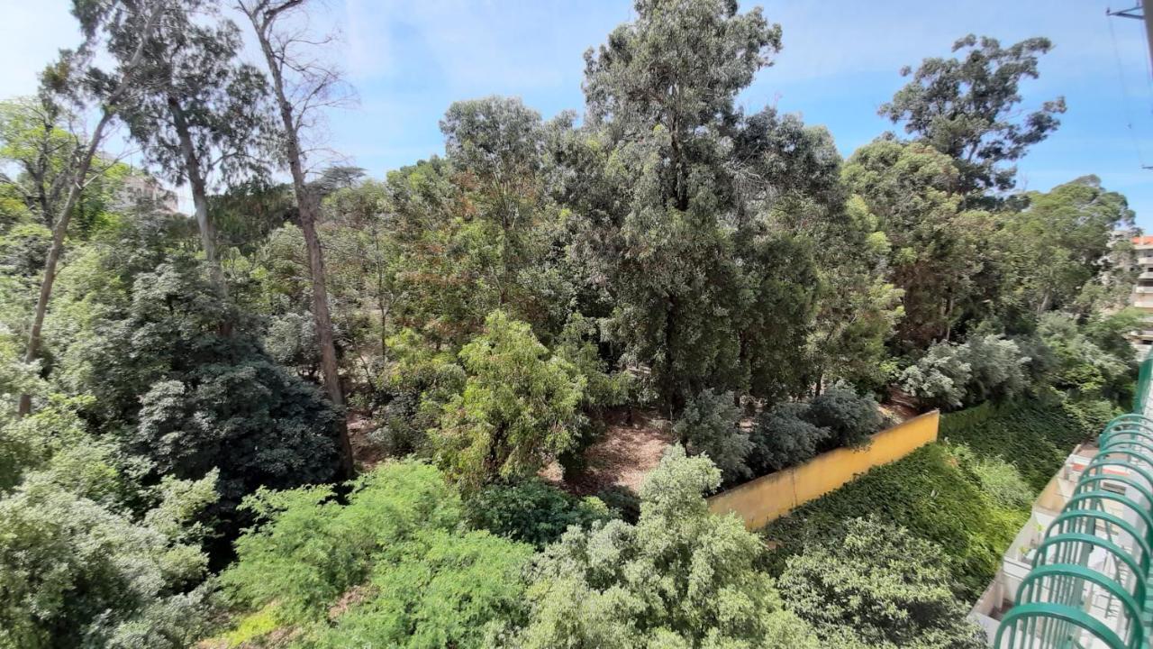 Forest View Lisboa 外观 照片