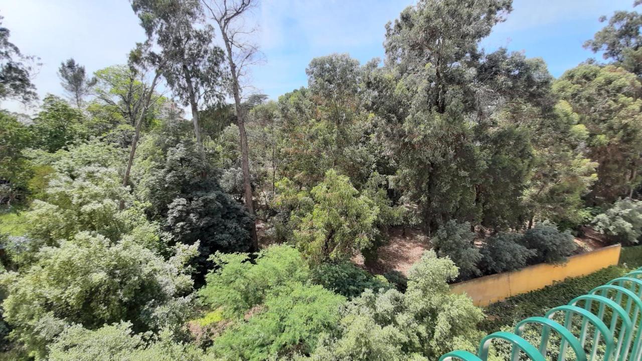 Forest View Lisboa 外观 照片